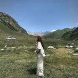 Абрикосовый серый