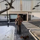 Оленьи рога, цвет кофейно-коричневый