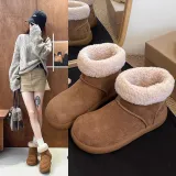 Каштановый + Коробка