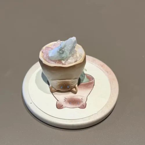 BANLI Kitten Crystal Pal Blind Boxes Полная коробка 6 шт